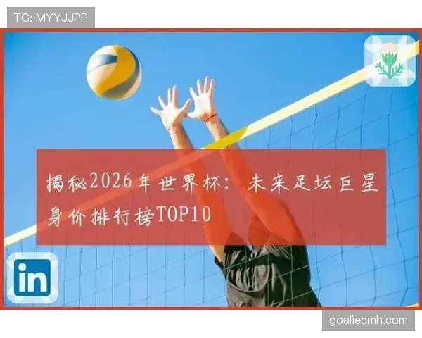 2026世界杯排名与身价对比分析